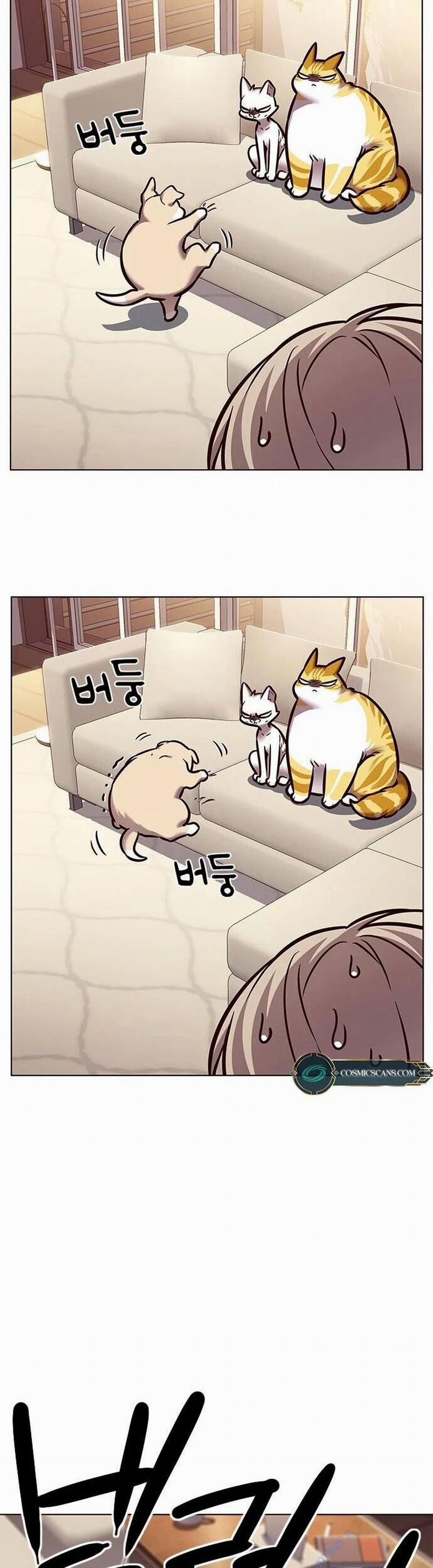 Hóa Thân Thành Mèo 279 trang 52