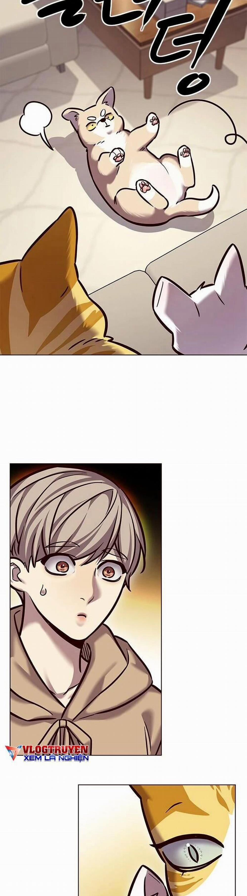 Hóa Thân Thành Mèo 279 trang 53