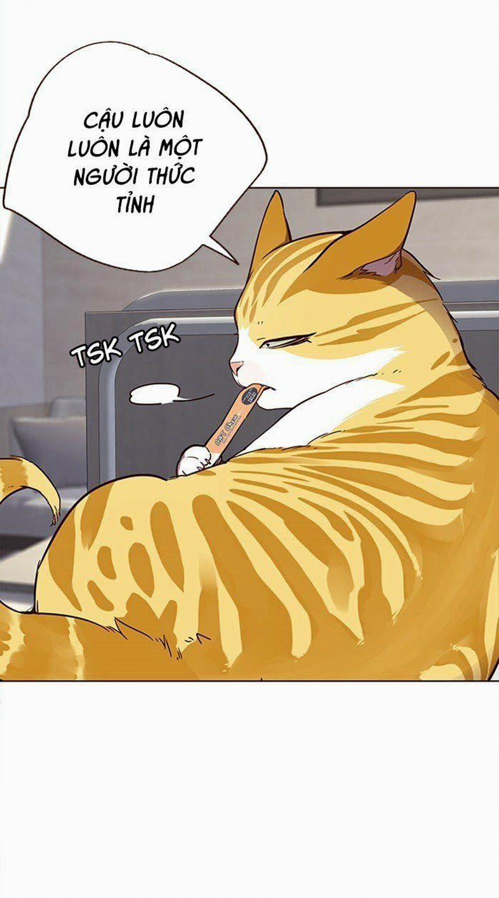 Hóa Thân Thành Mèo 28 trang 17