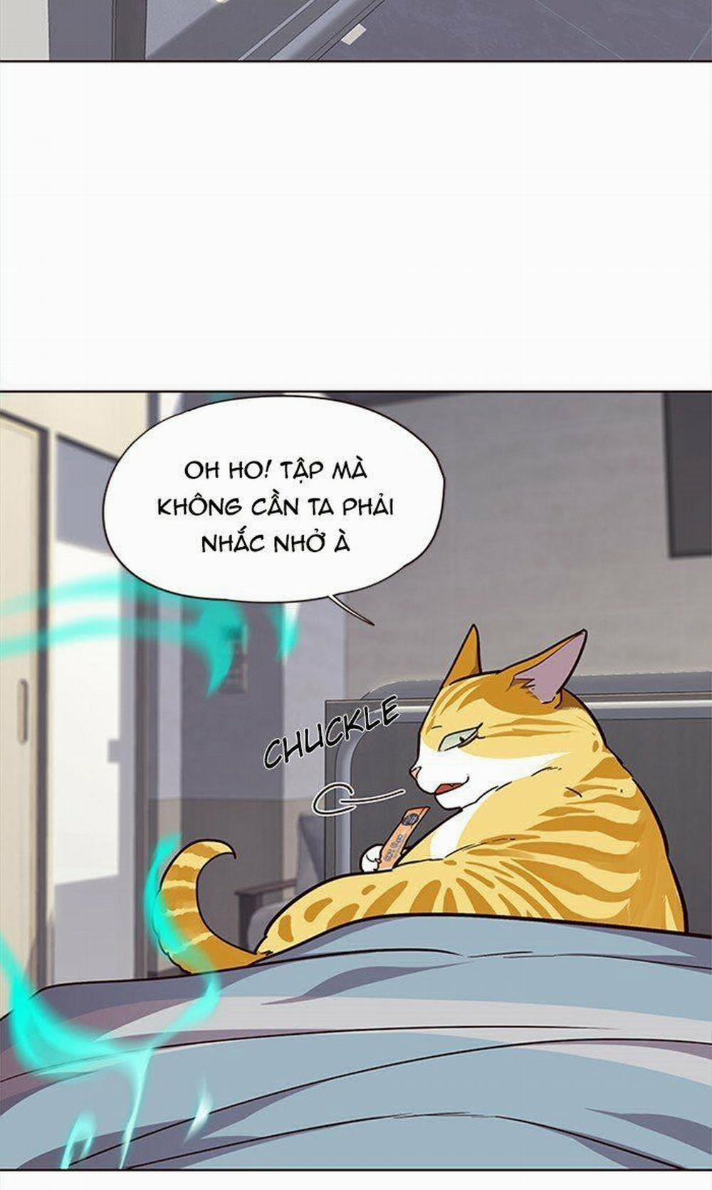 Hóa Thân Thành Mèo 28 trang 21