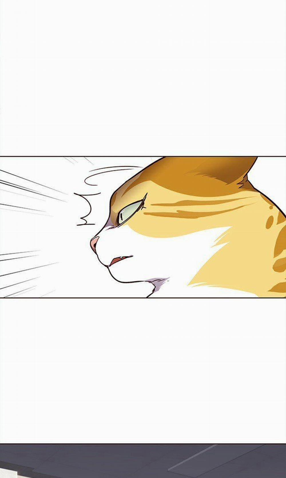 Hóa Thân Thành Mèo 28 trang 22