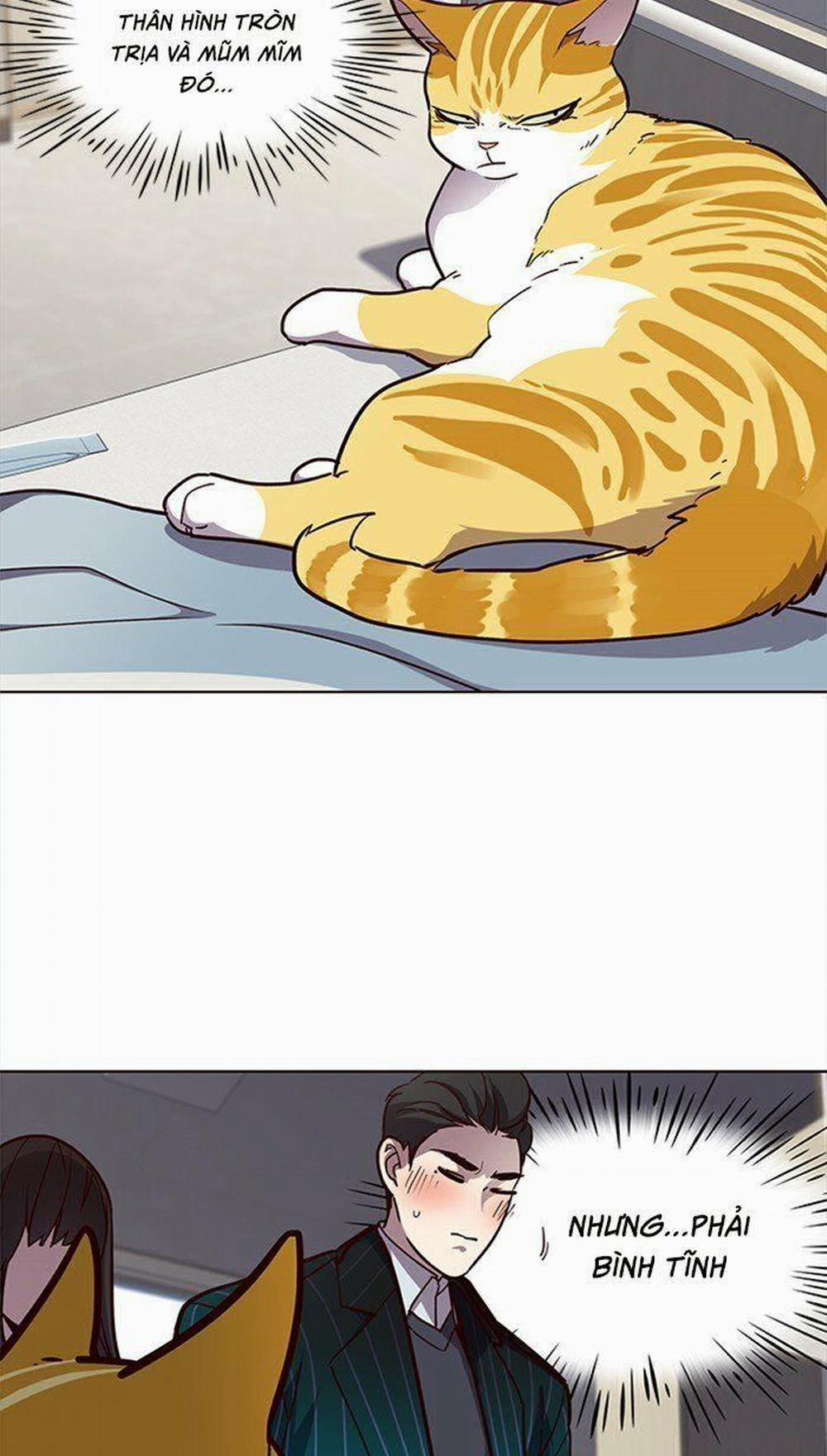 Hóa Thân Thành Mèo 28 trang 35