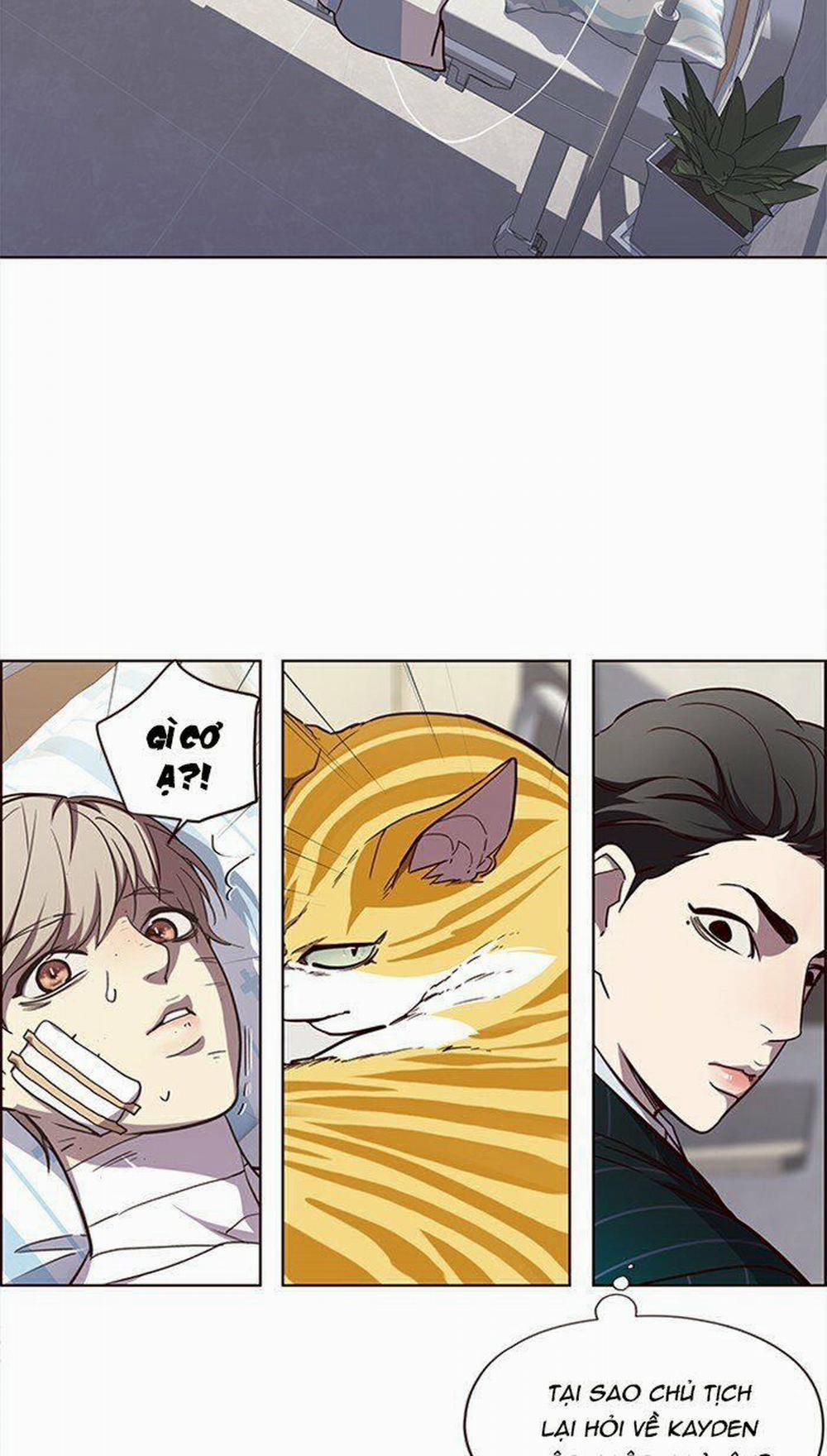 Hóa Thân Thành Mèo 28 trang 38
