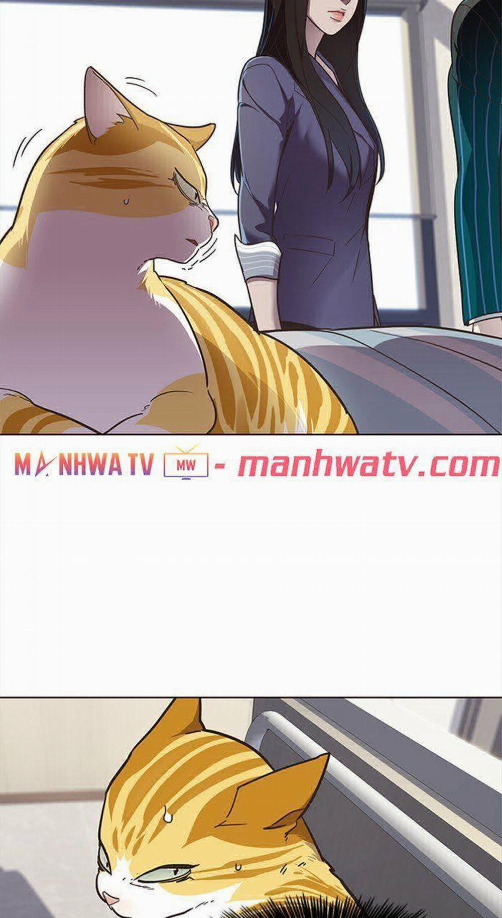 Hóa Thân Thành Mèo 28 trang 47