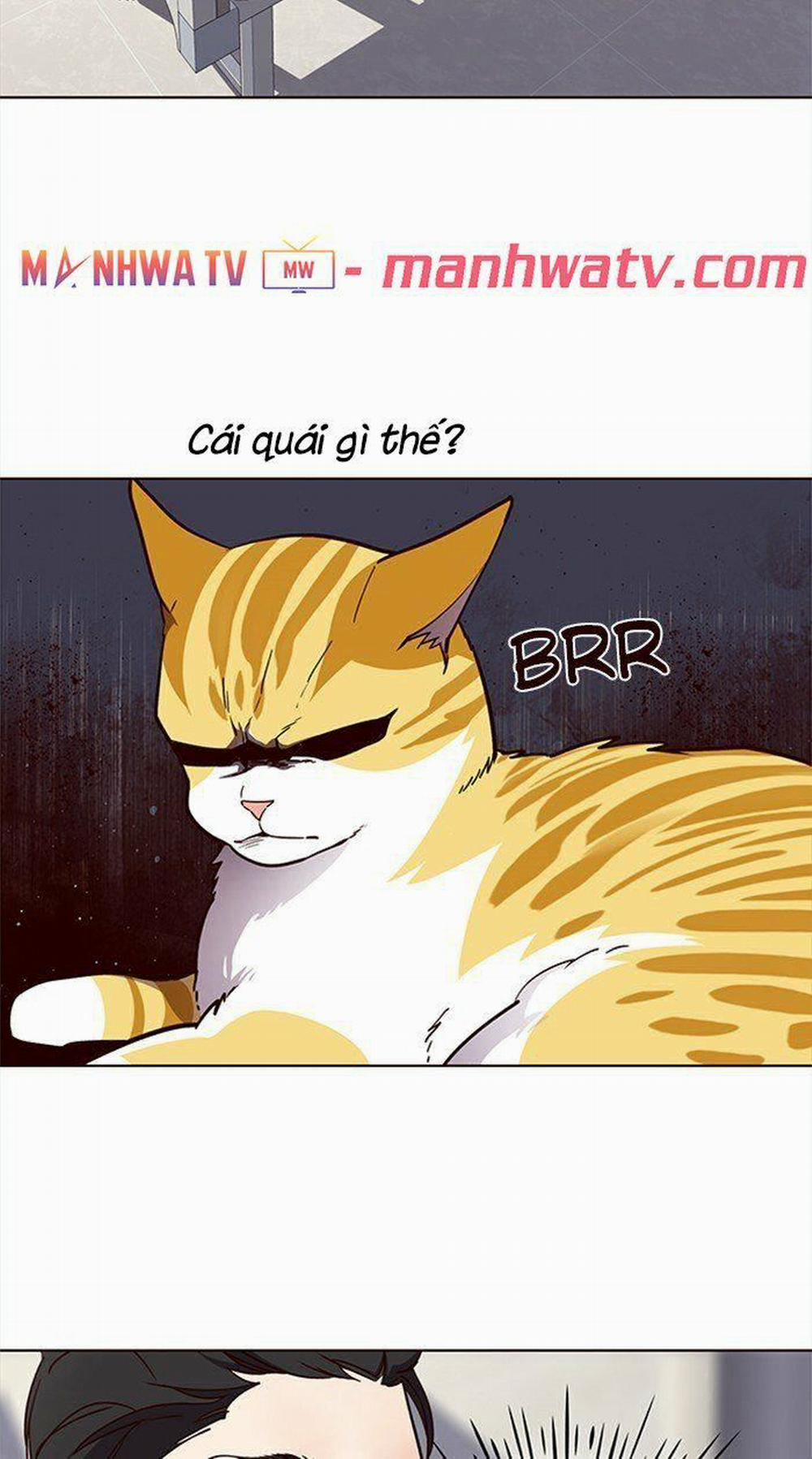 Hóa Thân Thành Mèo 28 trang 51