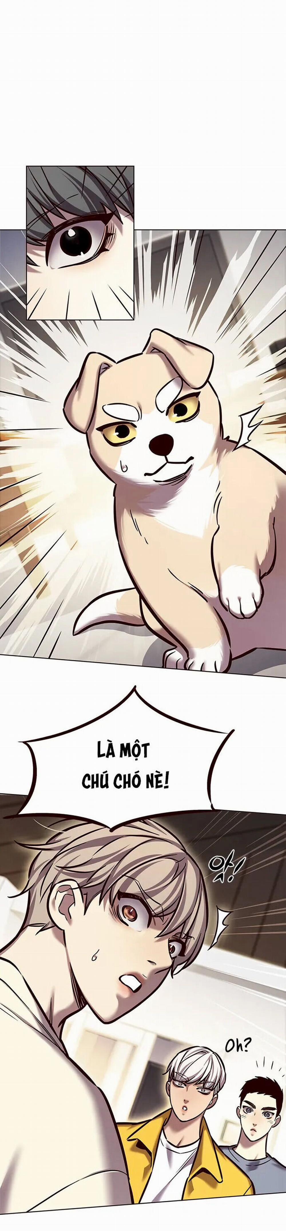 Hóa Thân Thành Mèo 280 trang 11