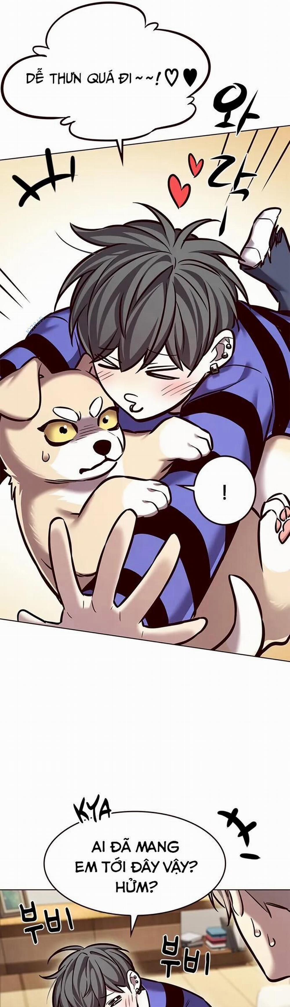 Hóa Thân Thành Mèo 280 trang 12