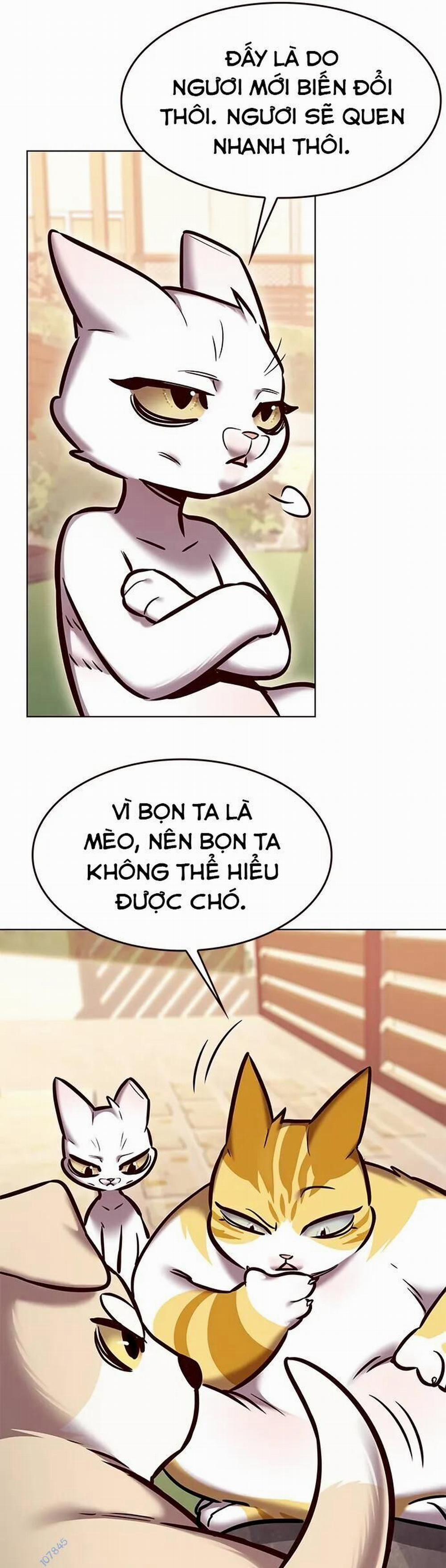 Hóa Thân Thành Mèo 280 trang 20