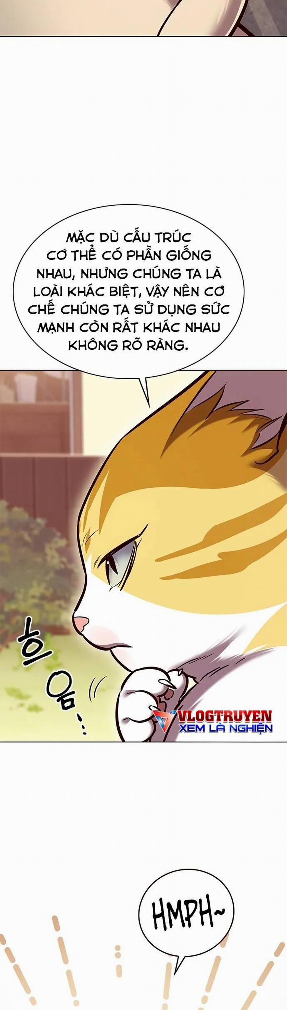 Hóa Thân Thành Mèo 280 trang 21