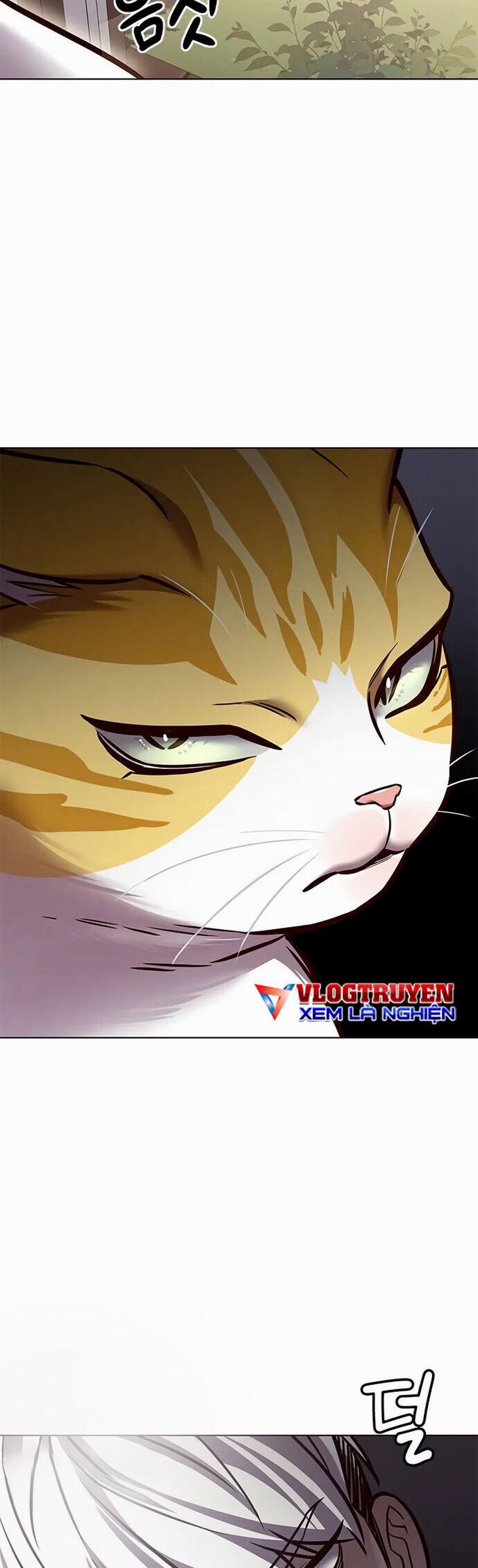 Hóa Thân Thành Mèo 280 trang 25
