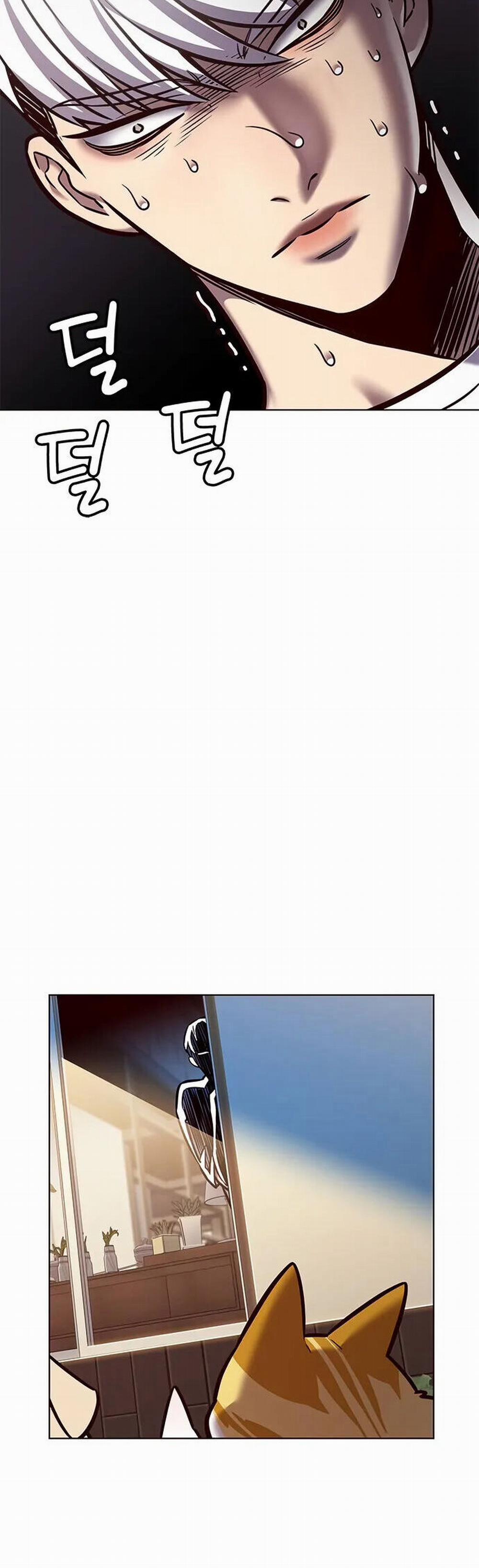 Hóa Thân Thành Mèo 280 trang 26