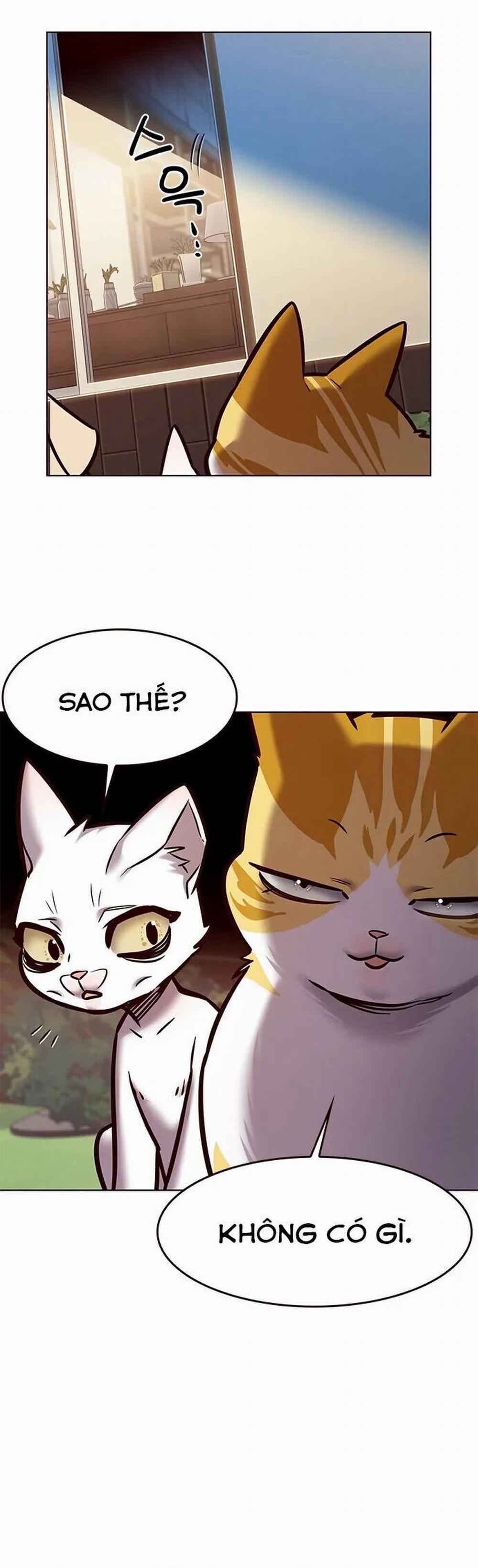 Hóa Thân Thành Mèo 280 trang 27