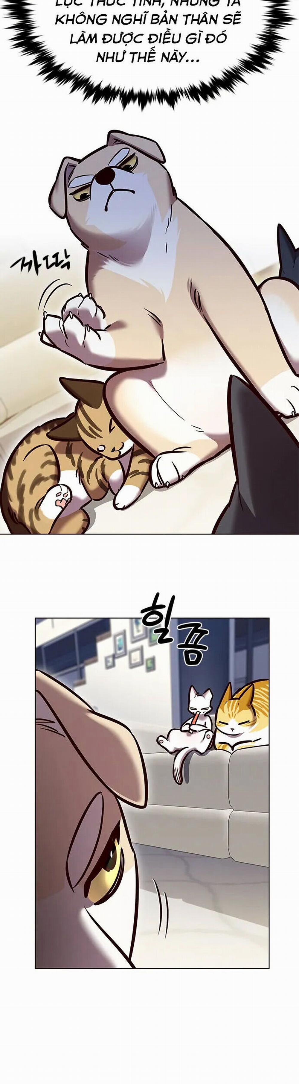 Hóa Thân Thành Mèo 280 trang 4