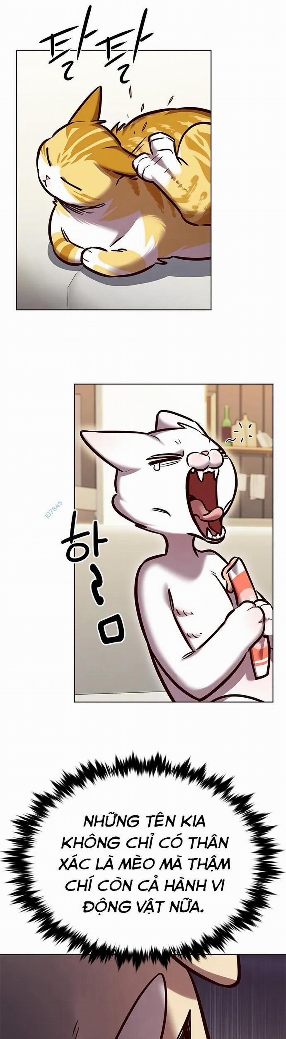 Hóa Thân Thành Mèo 280 trang 5