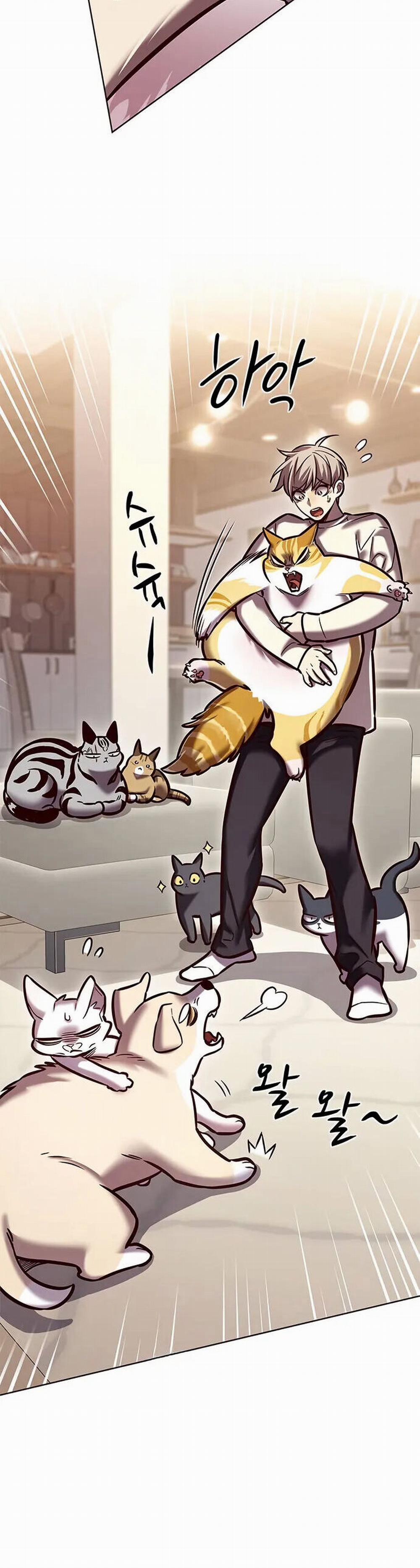 Hóa Thân Thành Mèo 280 trang 56