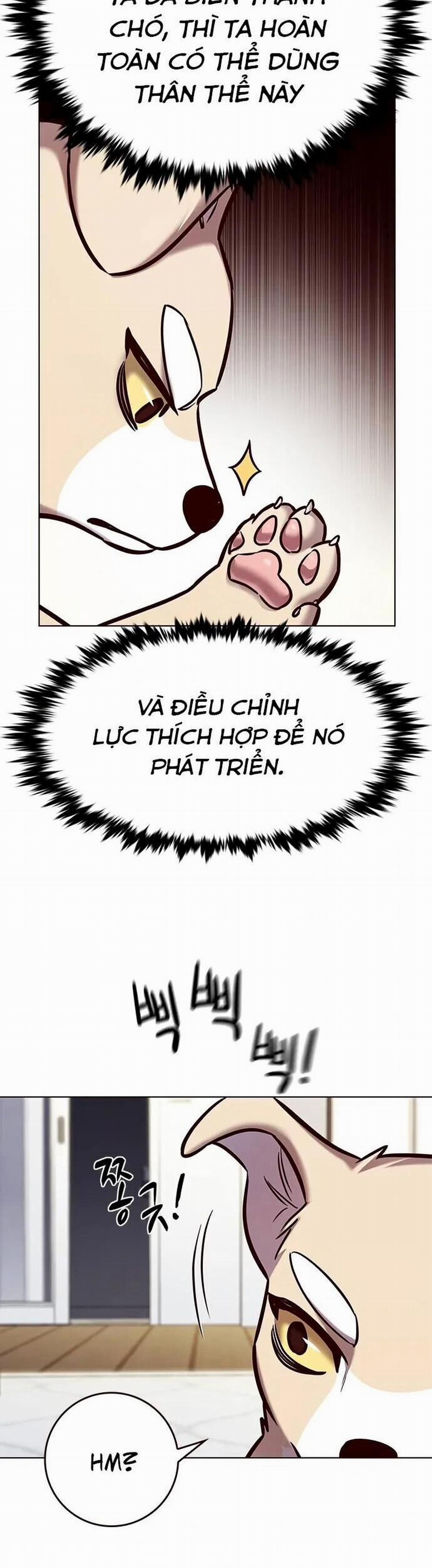 Hóa Thân Thành Mèo 280 trang 8