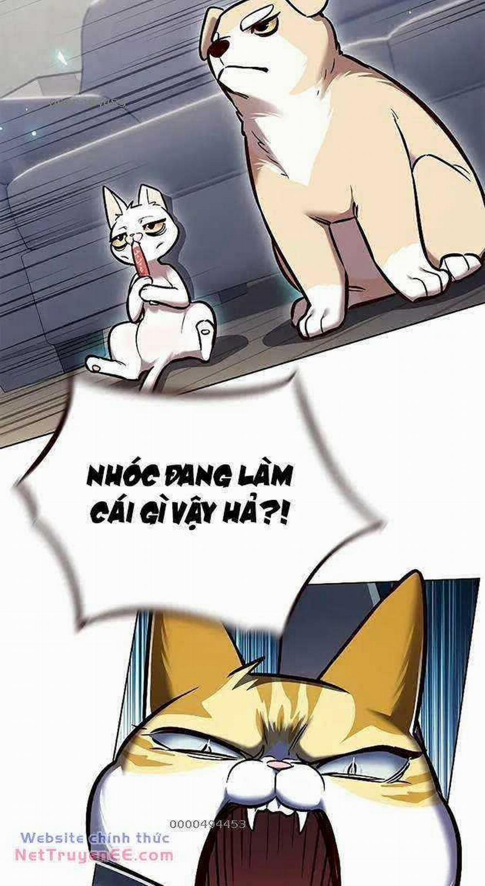 Hóa Thân Thành Mèo 281 trang 2