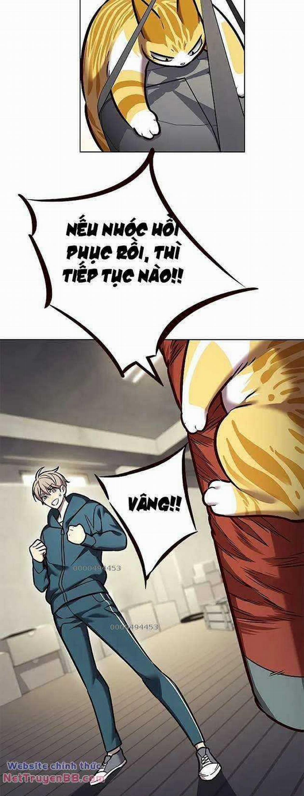 Hóa Thân Thành Mèo 281 trang 48