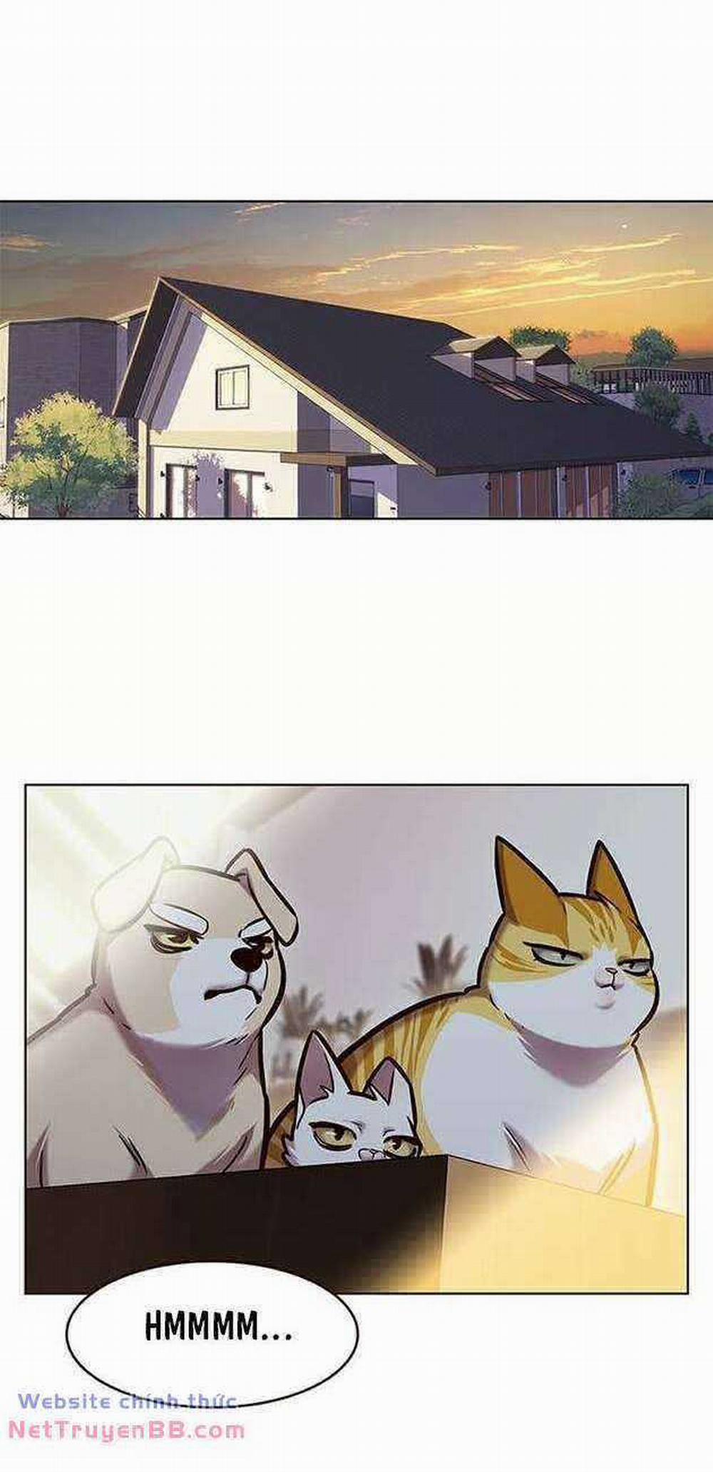 Hóa Thân Thành Mèo 282 trang 1