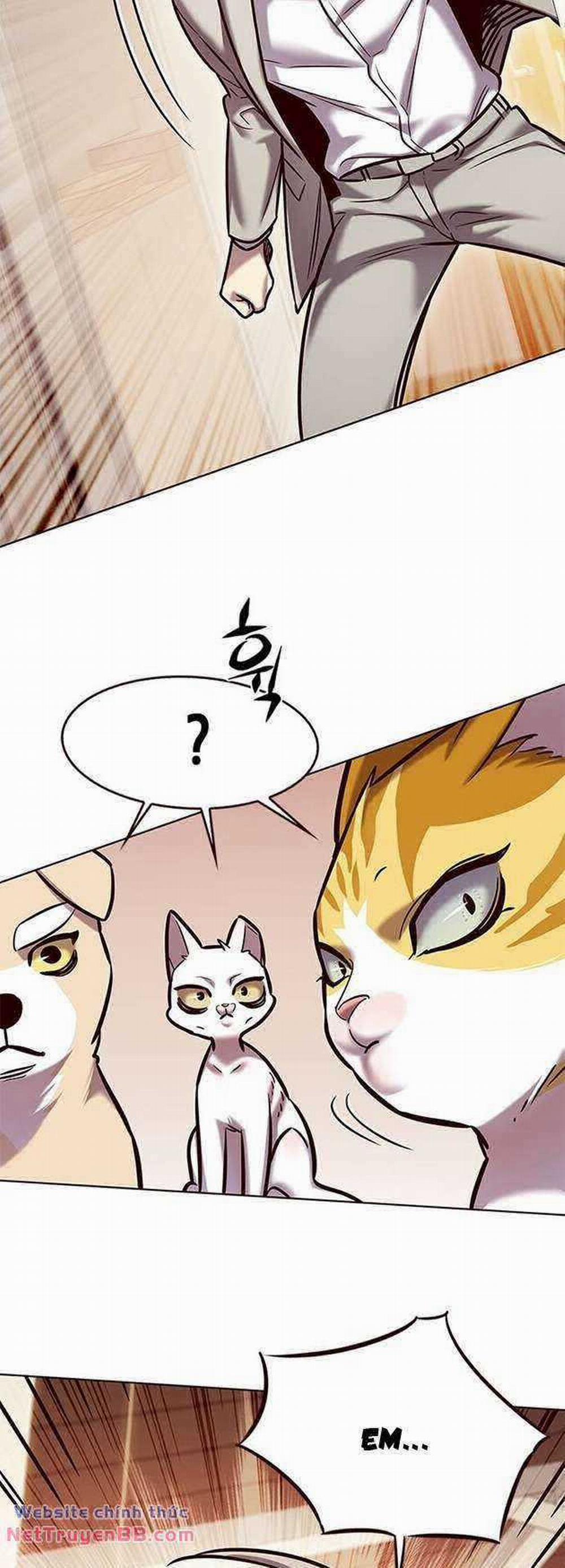 Hóa Thân Thành Mèo 282 trang 54