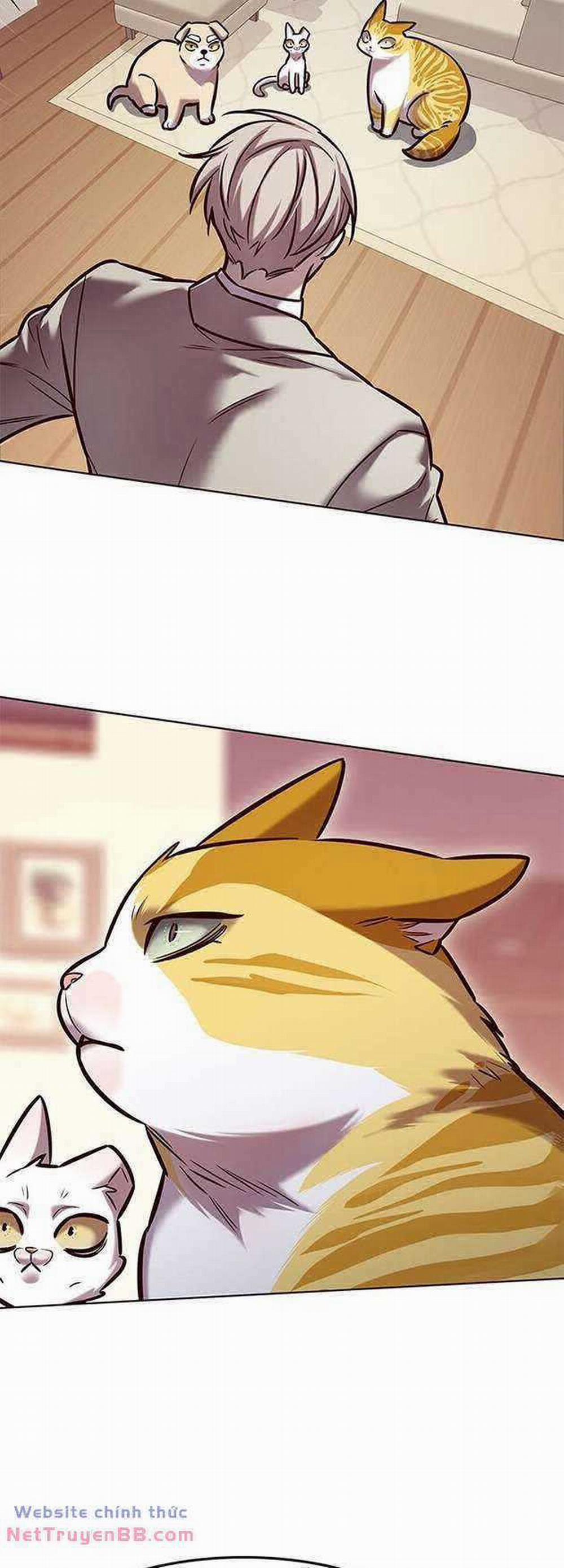 Hóa Thân Thành Mèo 282 trang 56