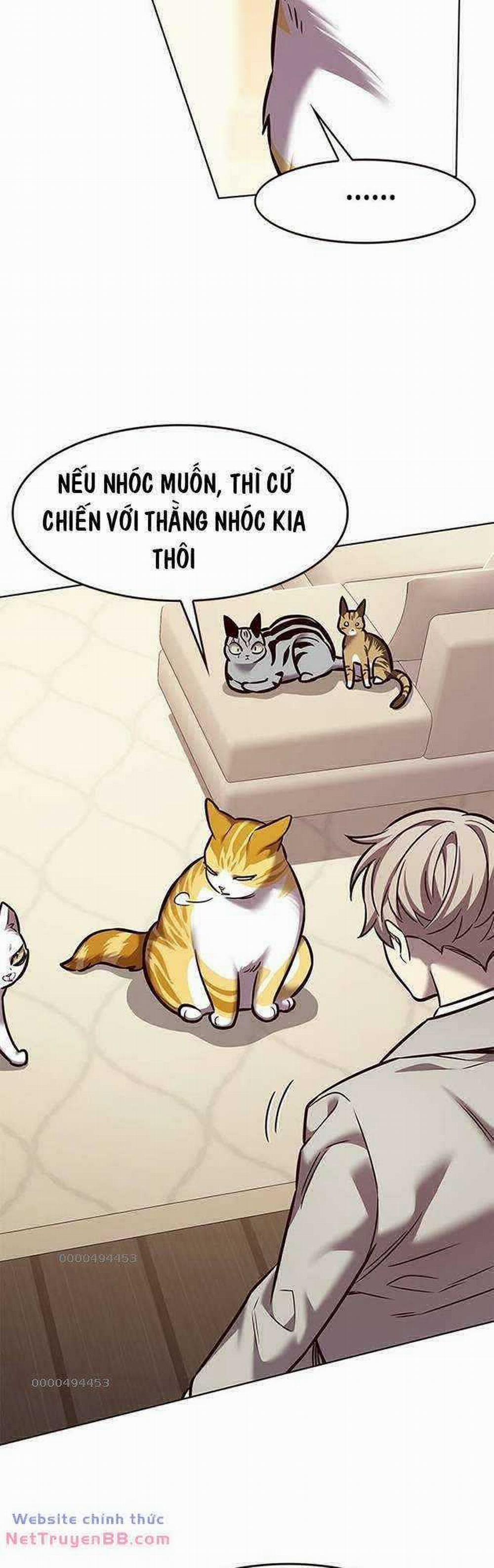 Hóa Thân Thành Mèo 282 trang 58