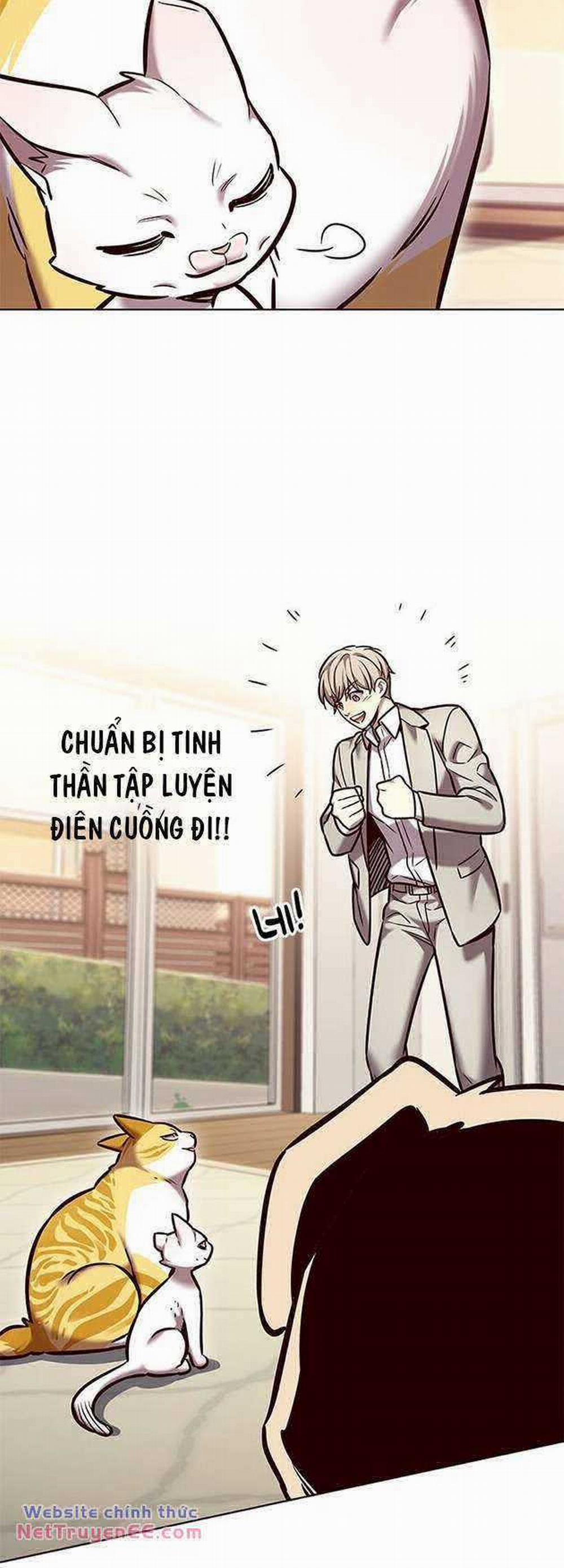 Hóa Thân Thành Mèo 282 trang 65