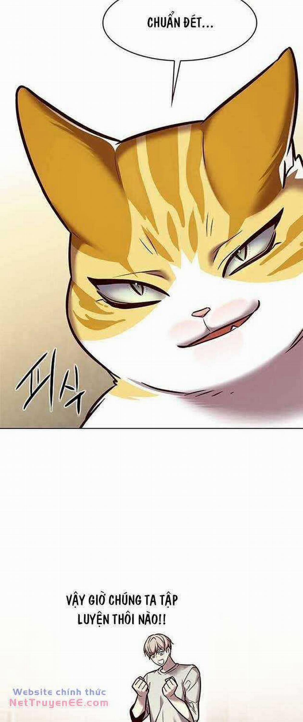 Hóa Thân Thành Mèo 283 trang 41