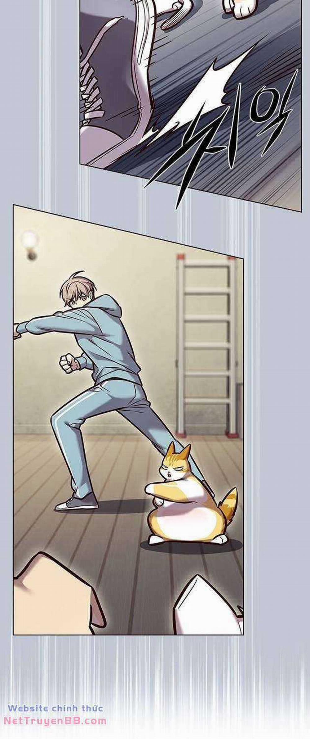 Hóa Thân Thành Mèo 283 trang 46