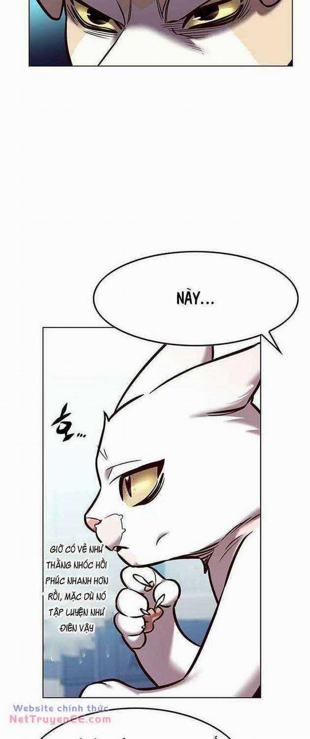 Hóa Thân Thành Mèo 283 trang 49