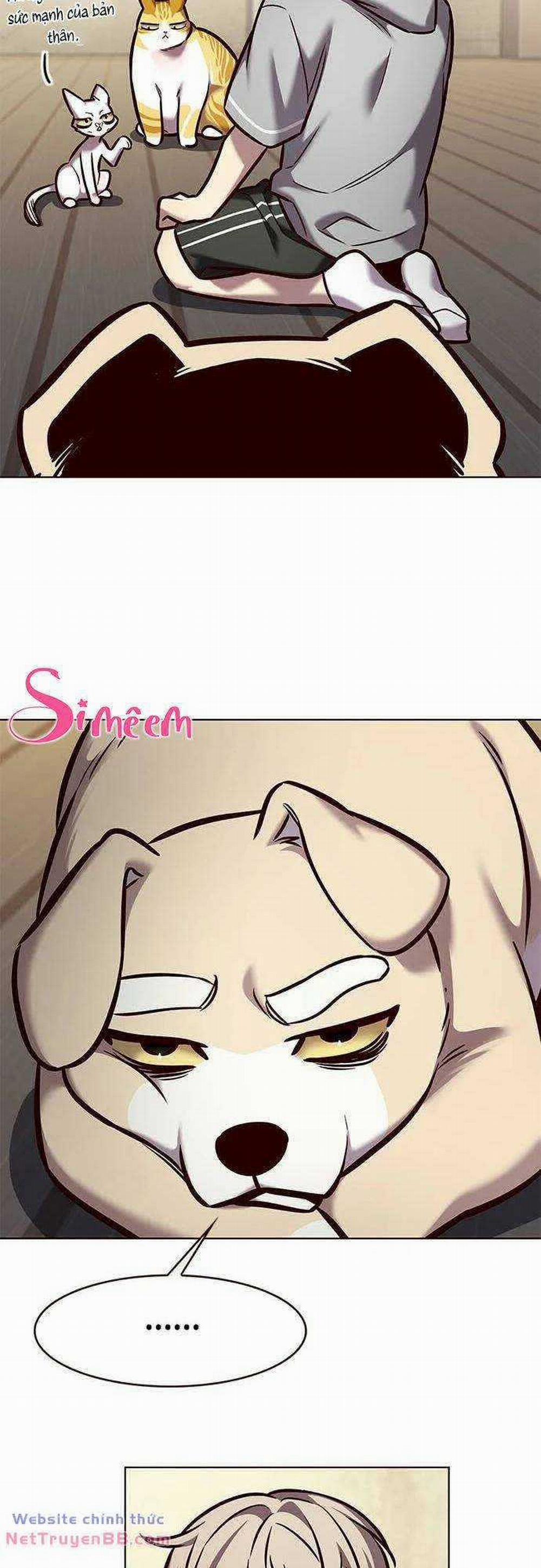 Hóa Thân Thành Mèo 284 trang 31
