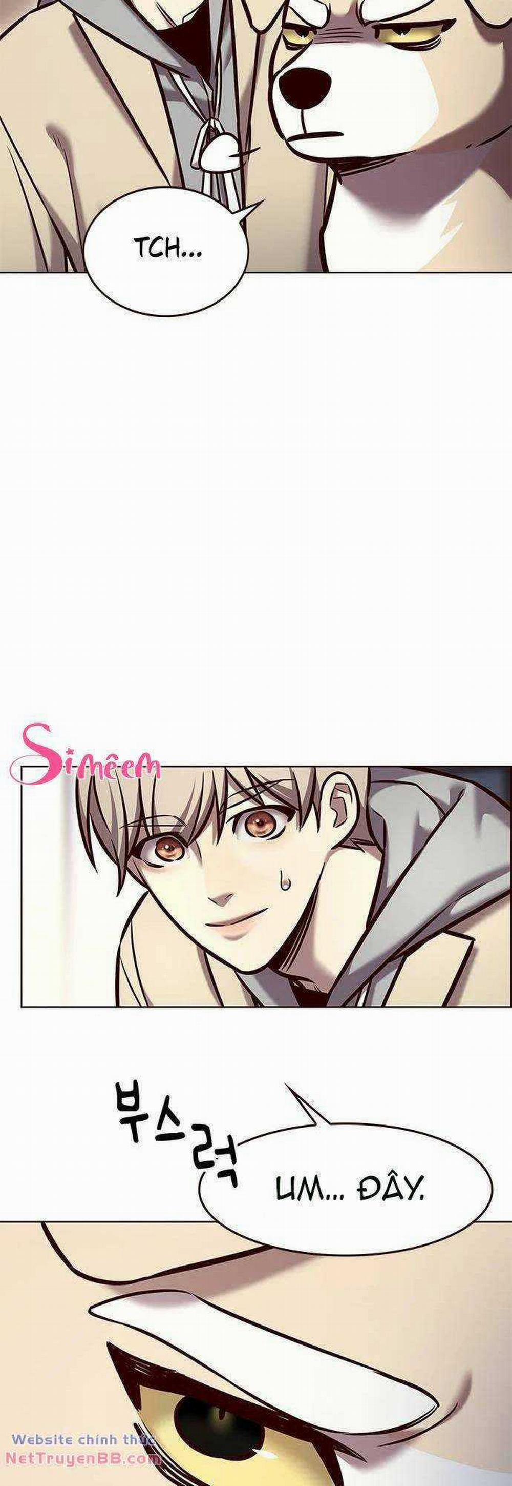 Hóa Thân Thành Mèo 284 trang 41
