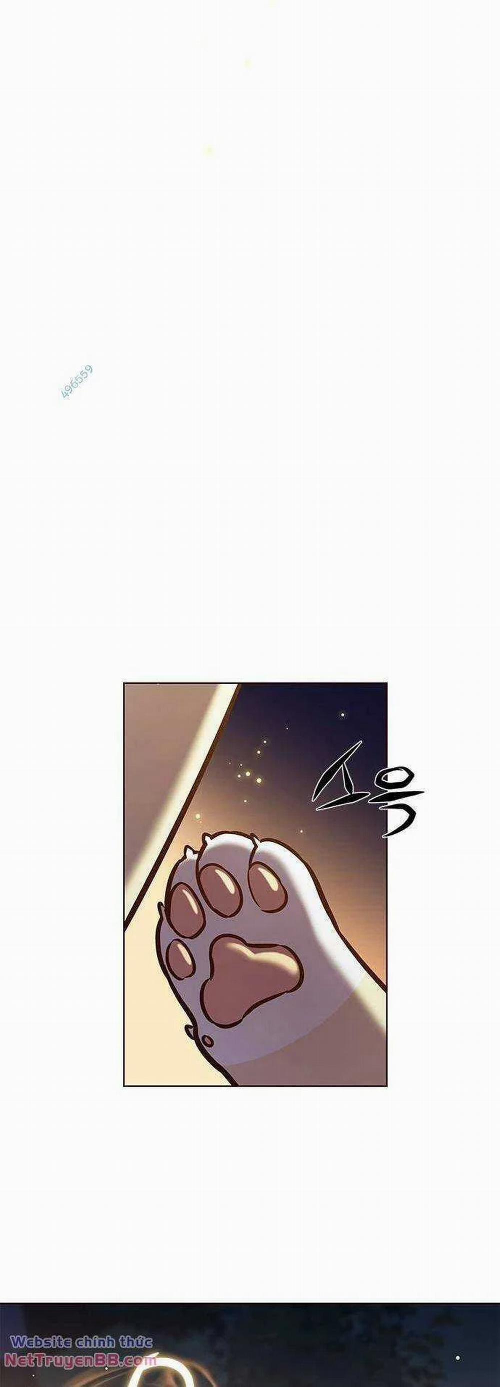 Hóa Thân Thành Mèo 284 trang 63