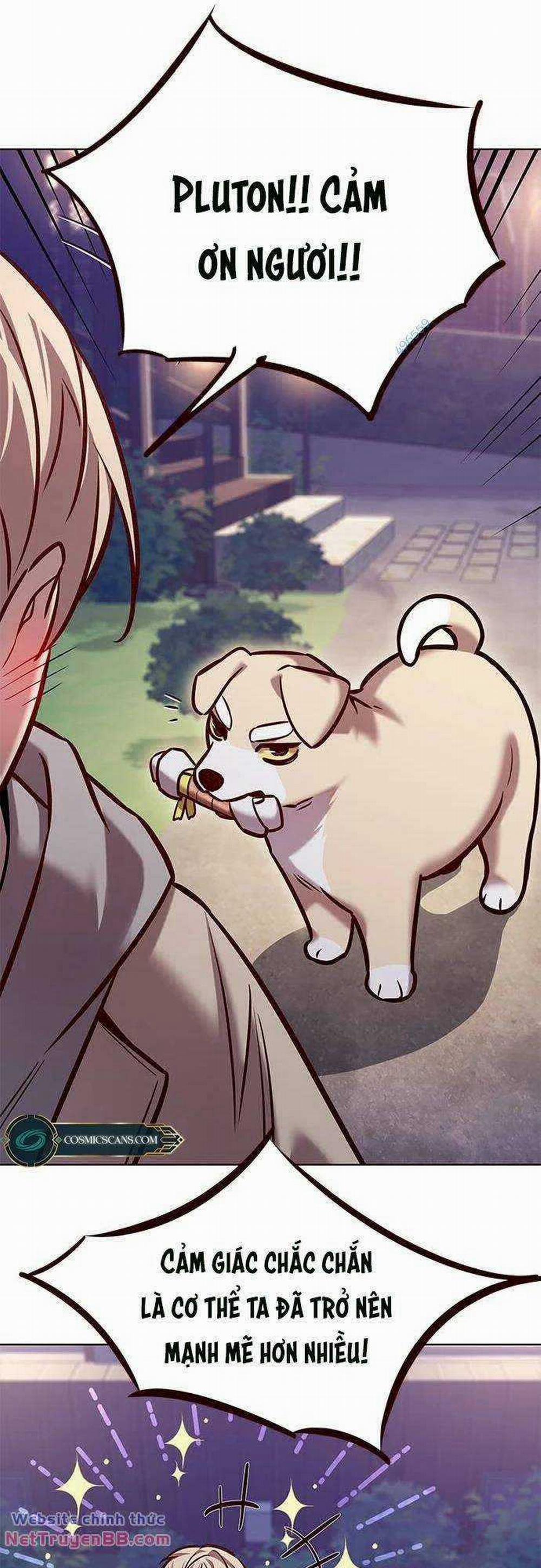 Hóa Thân Thành Mèo 284 trang 70