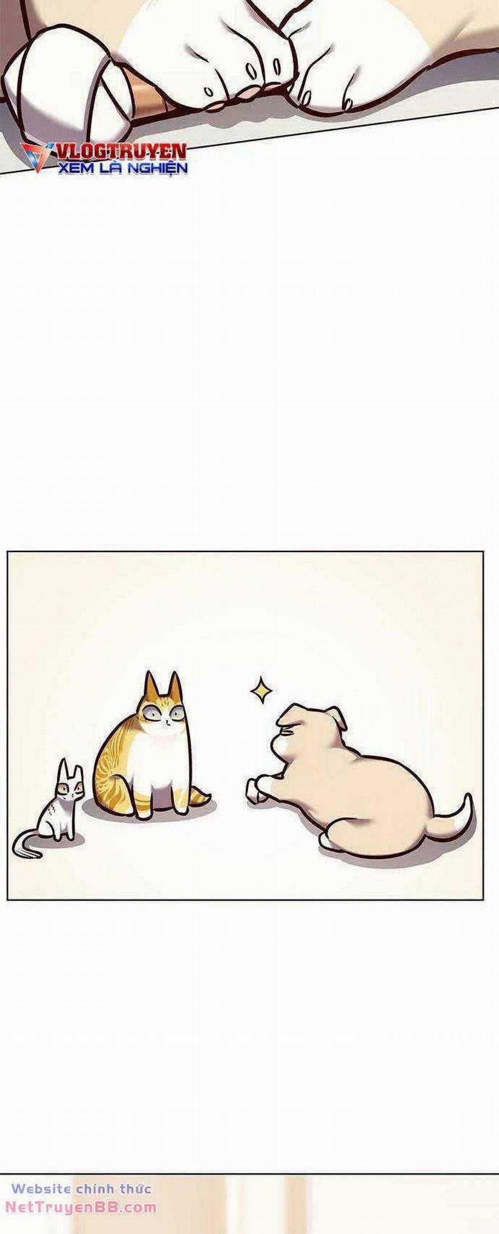 Hóa Thân Thành Mèo 285 trang 24