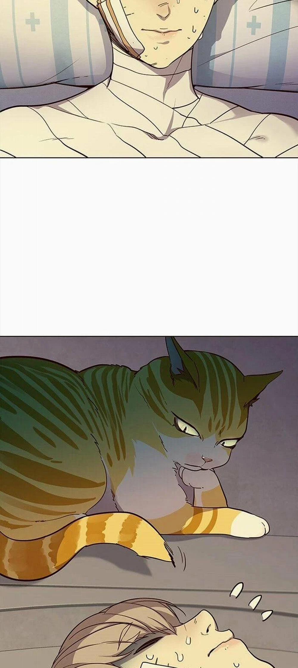 Hóa Thân Thành Mèo 29 trang 12