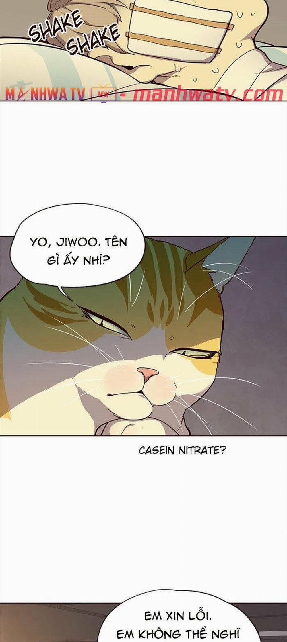 Hóa Thân Thành Mèo 29 trang 13