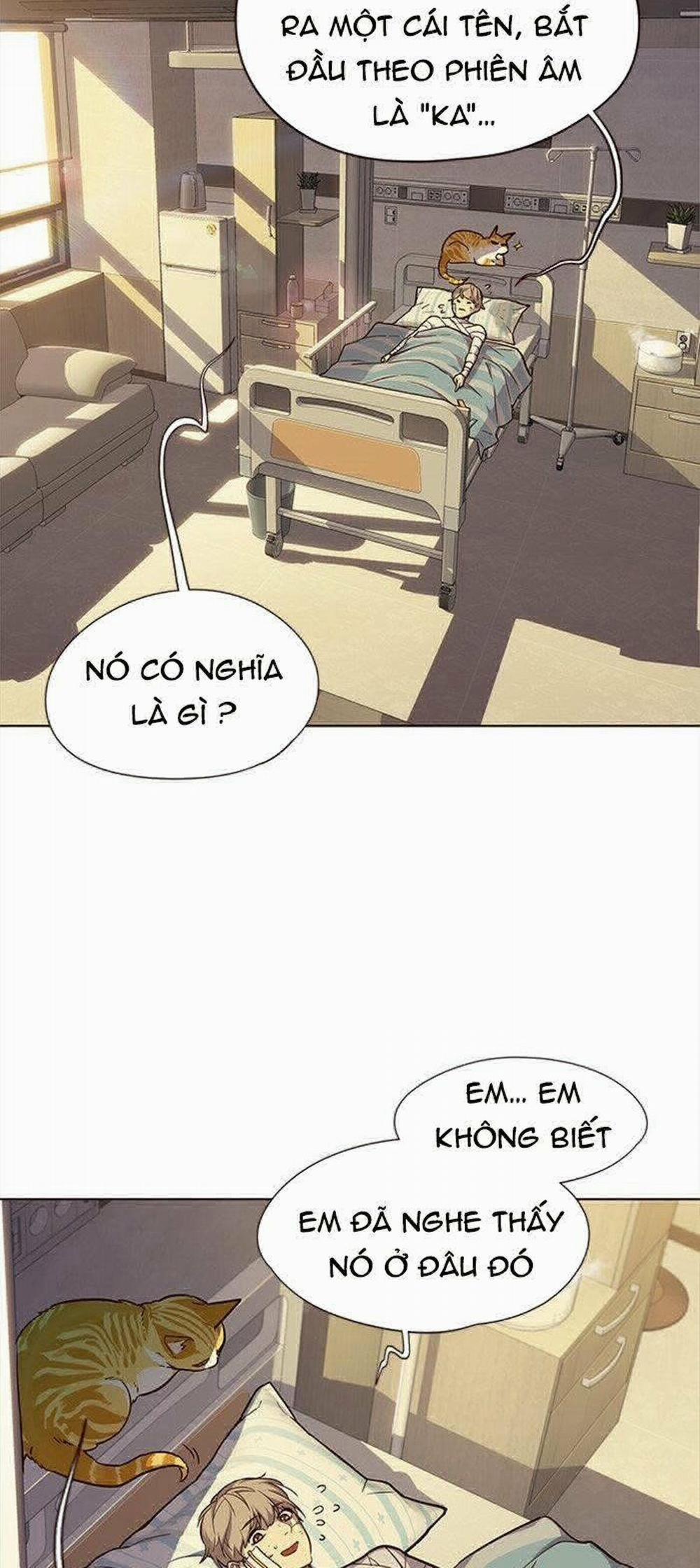 Hóa Thân Thành Mèo 29 trang 14