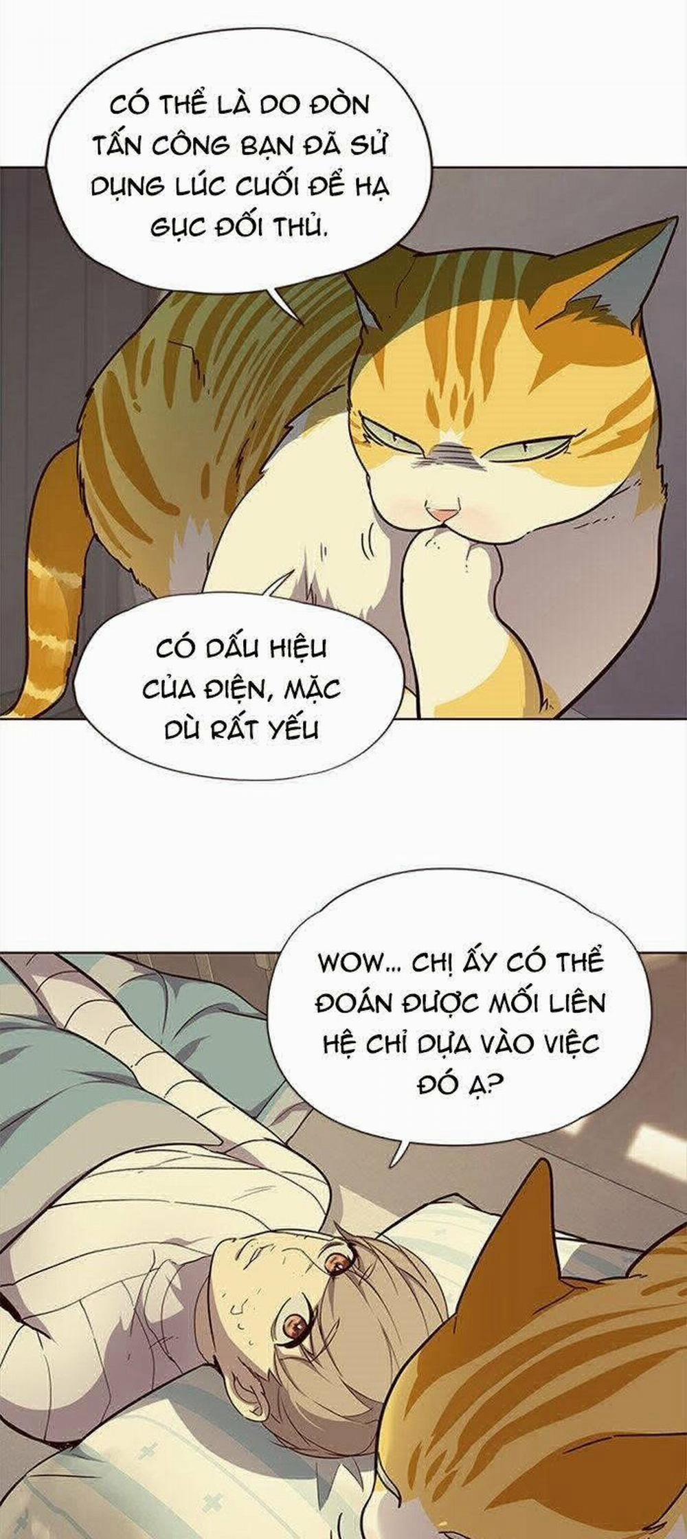 Hóa Thân Thành Mèo 29 trang 17