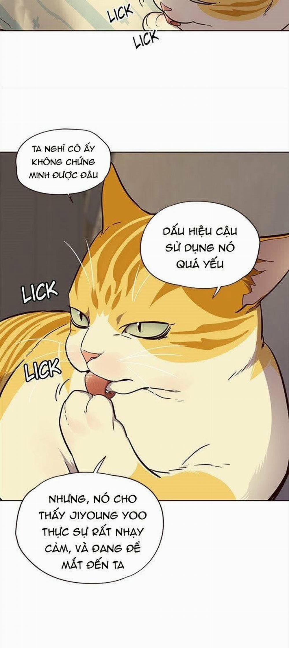 Hóa Thân Thành Mèo 29 trang 18