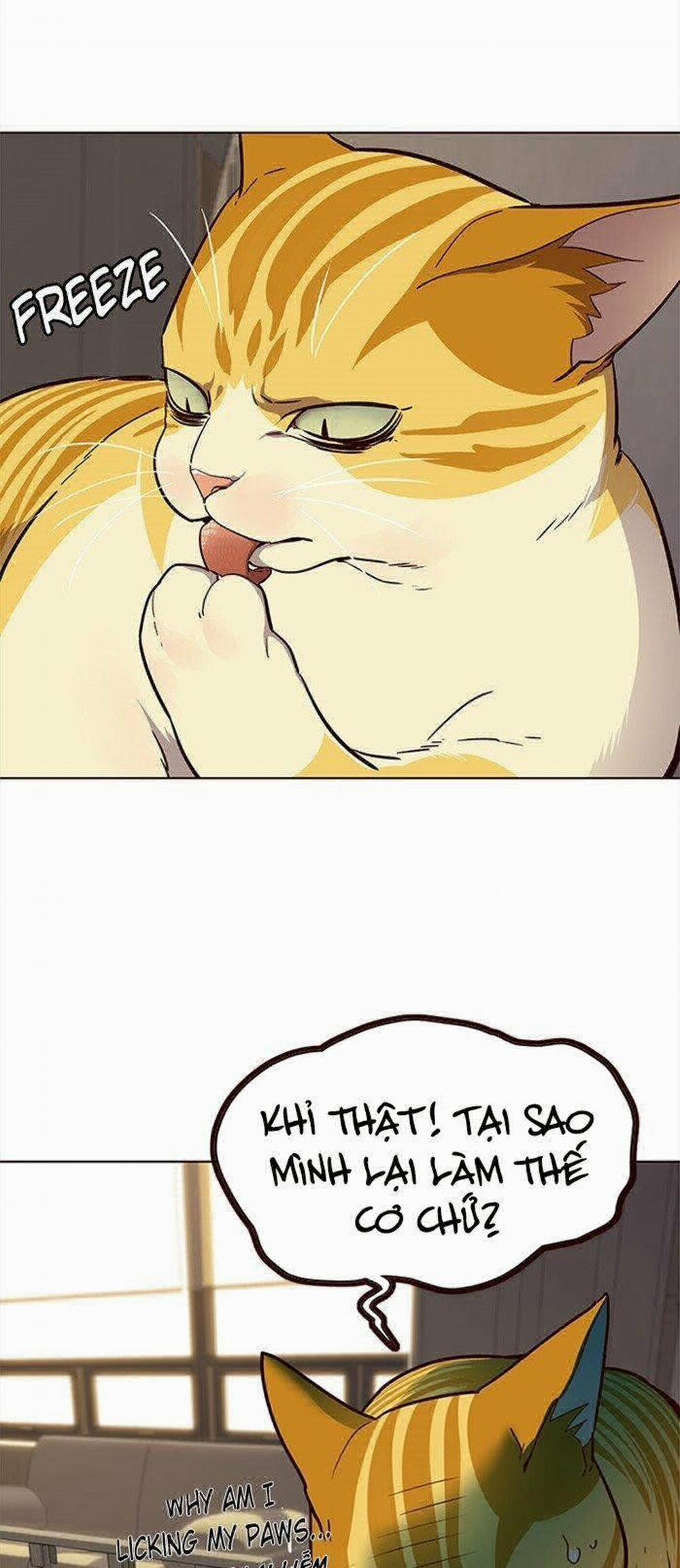 Hóa Thân Thành Mèo 29 trang 19