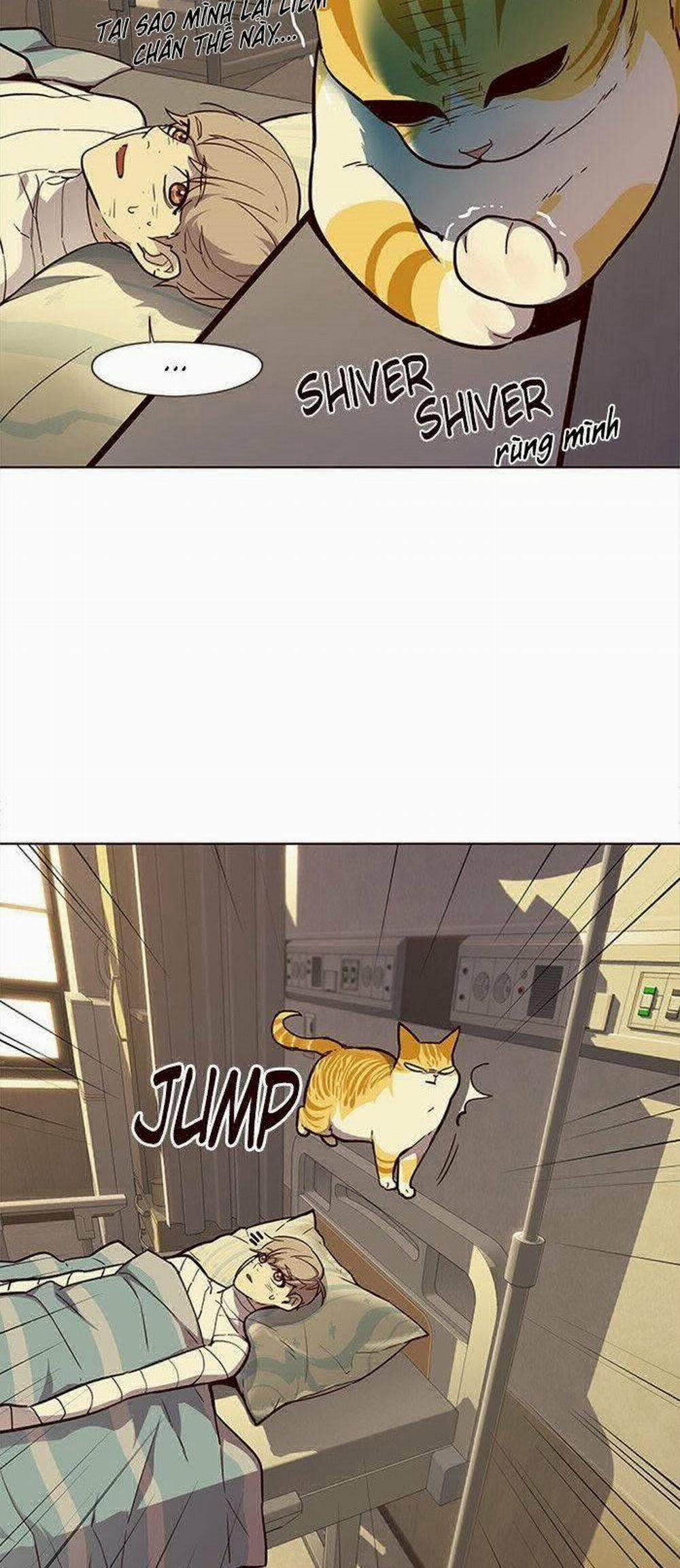 Hóa Thân Thành Mèo 29 trang 20