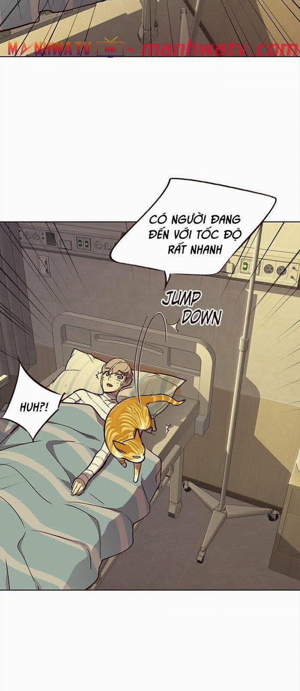 Hóa Thân Thành Mèo 29 trang 21