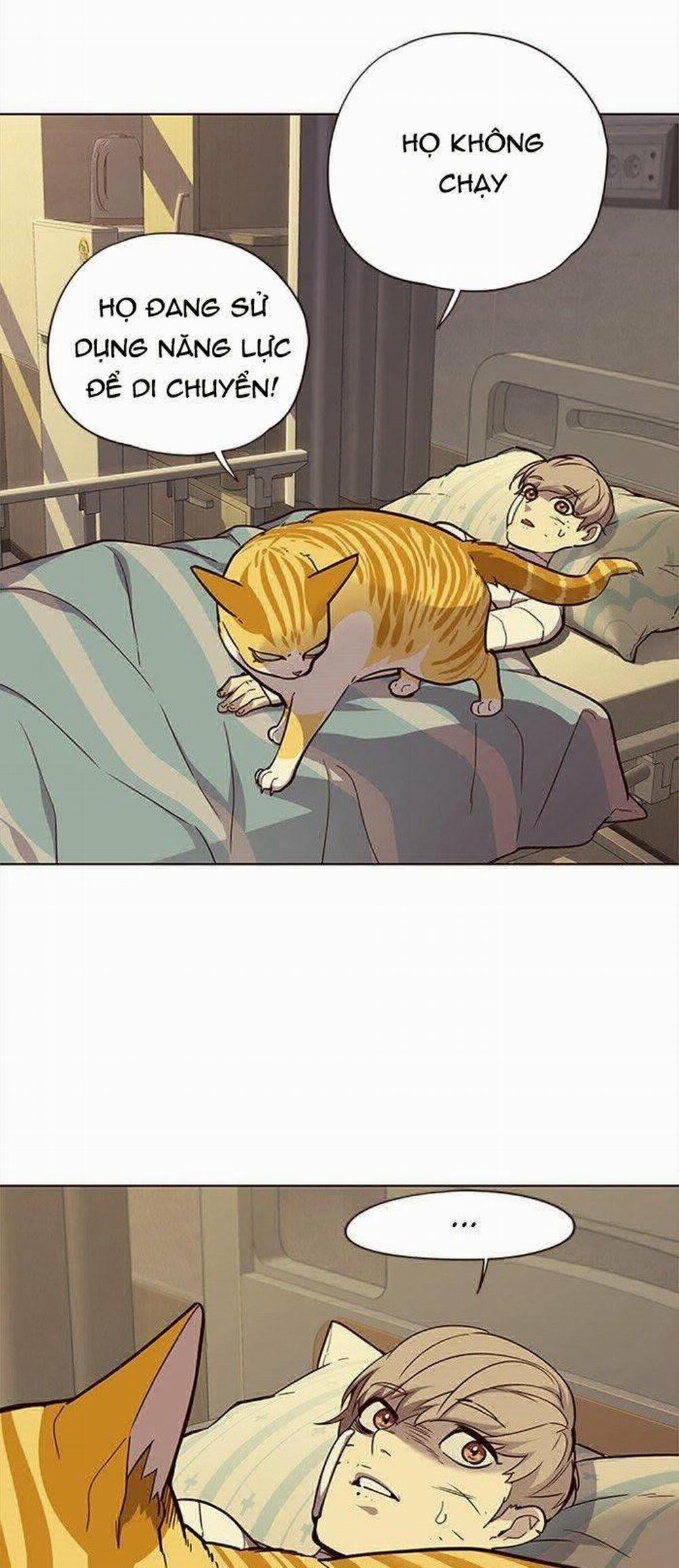 Hóa Thân Thành Mèo 29 trang 22