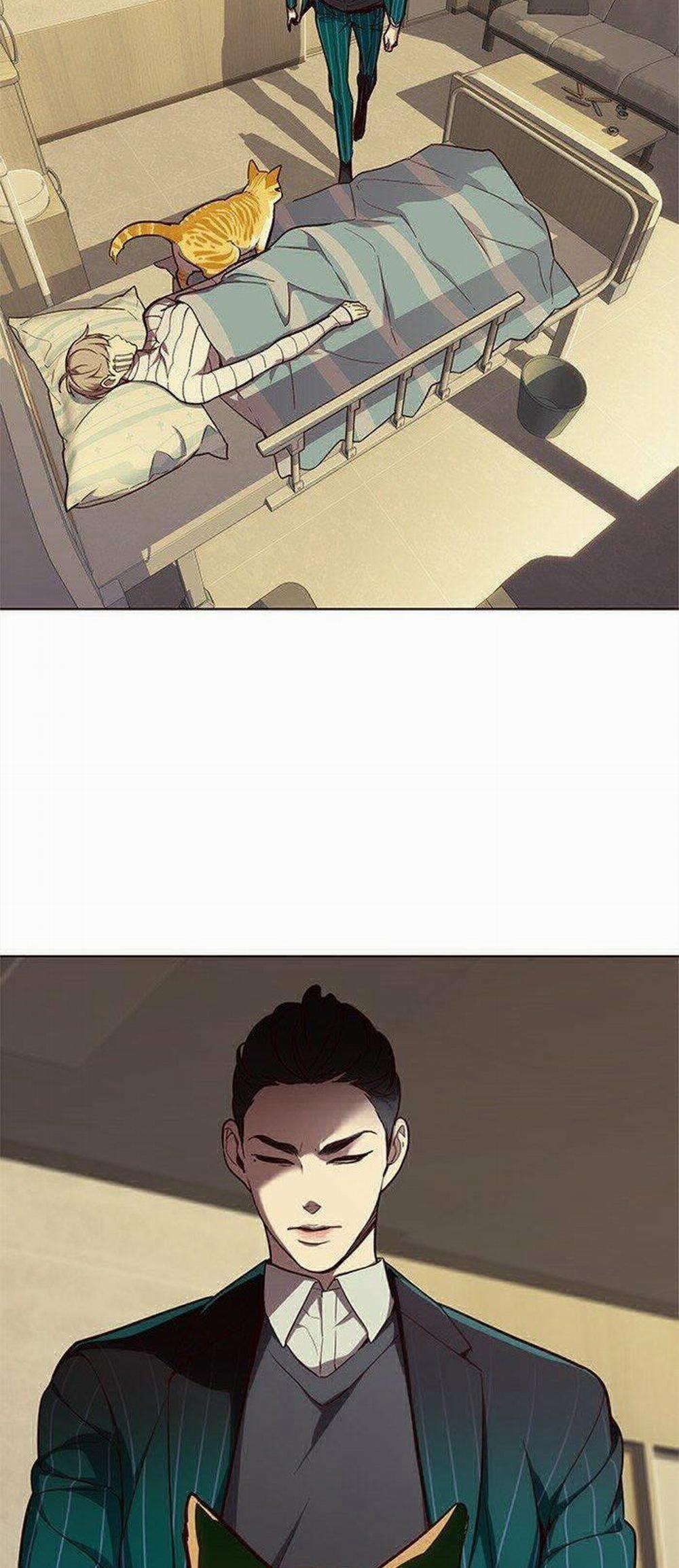 Hóa Thân Thành Mèo 29 trang 25