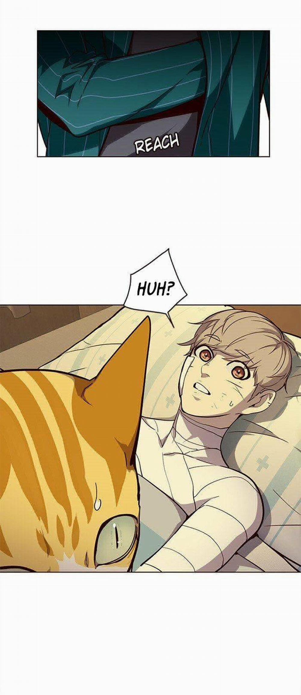 Hóa Thân Thành Mèo 29 trang 27