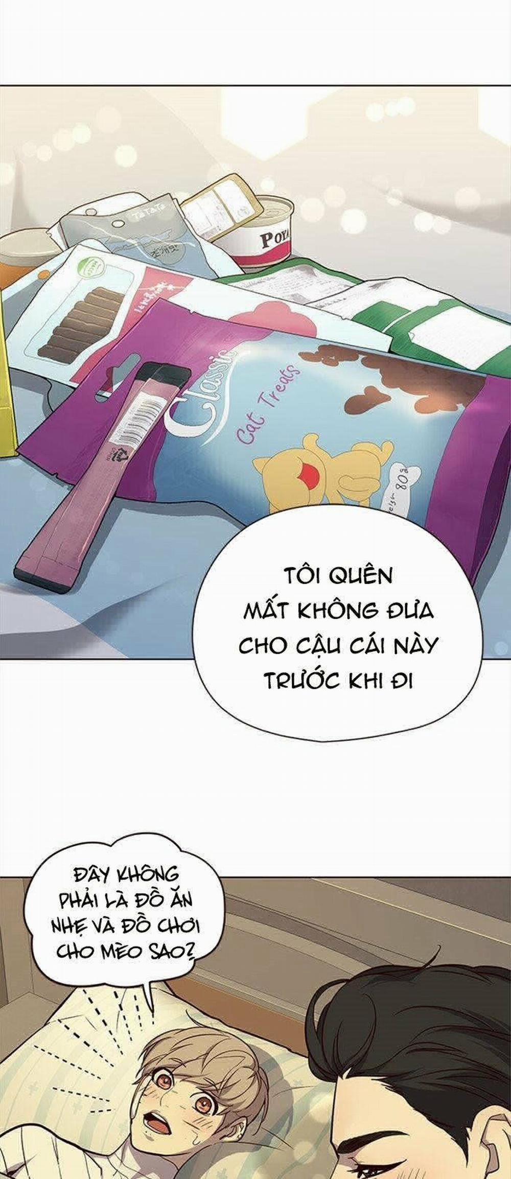Hóa Thân Thành Mèo 29 trang 28