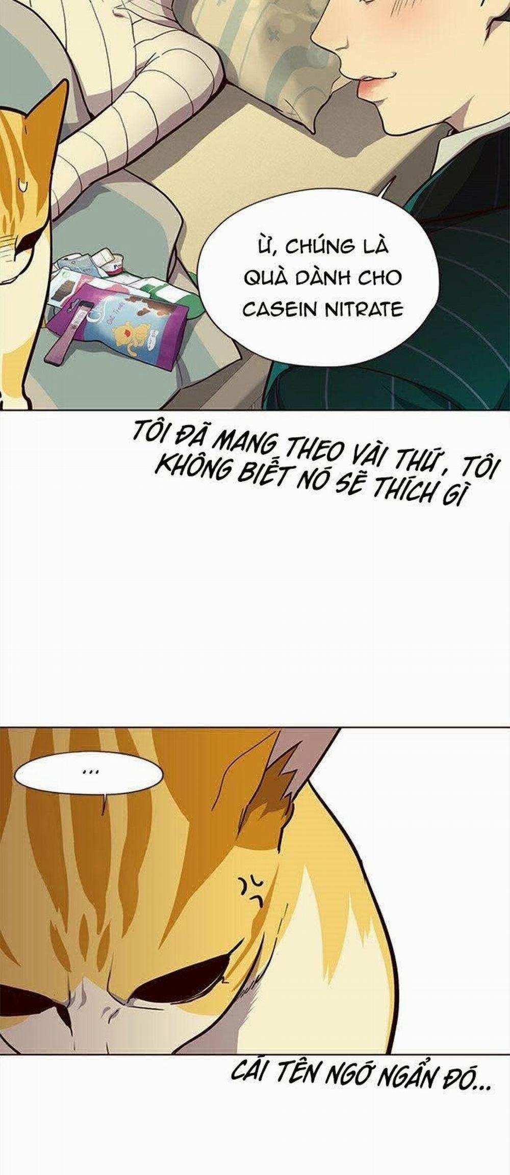 Hóa Thân Thành Mèo 29 trang 29