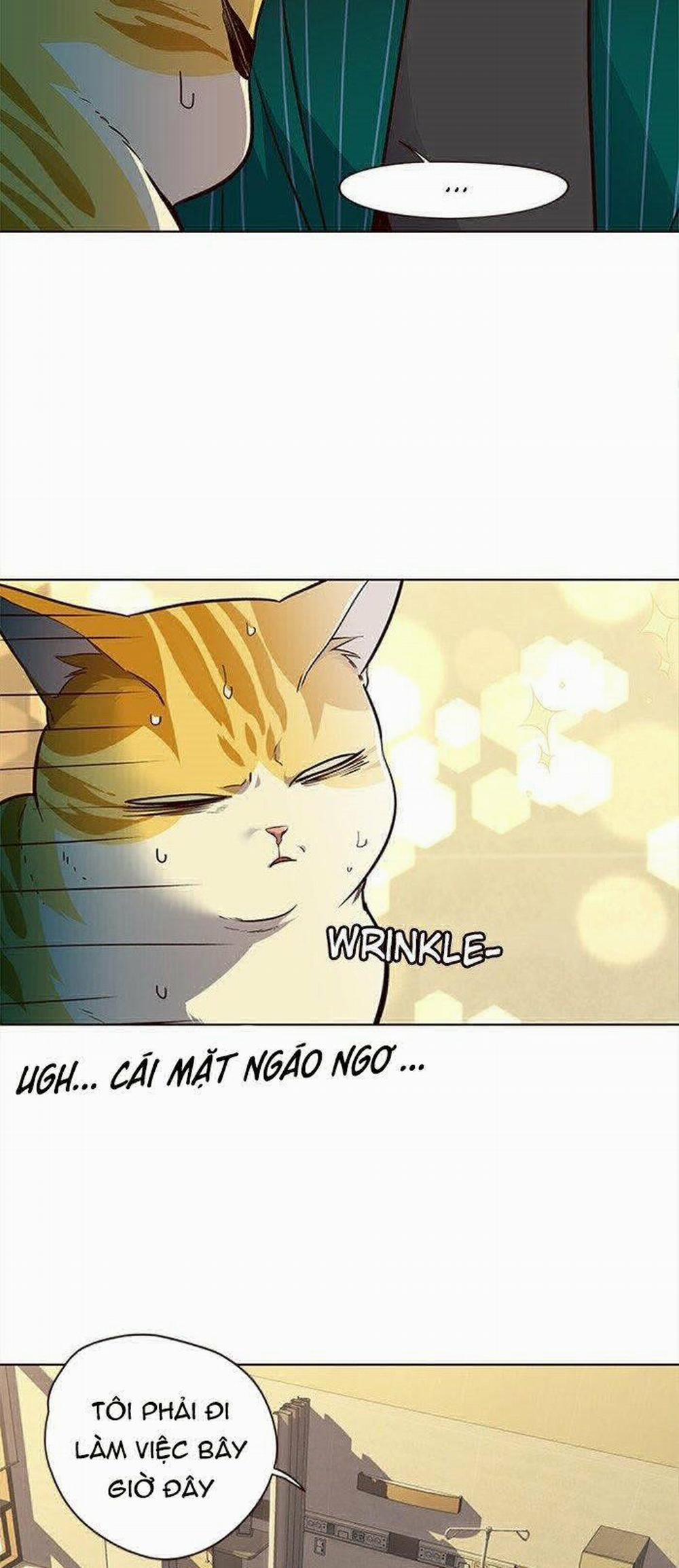 Hóa Thân Thành Mèo 29 trang 31