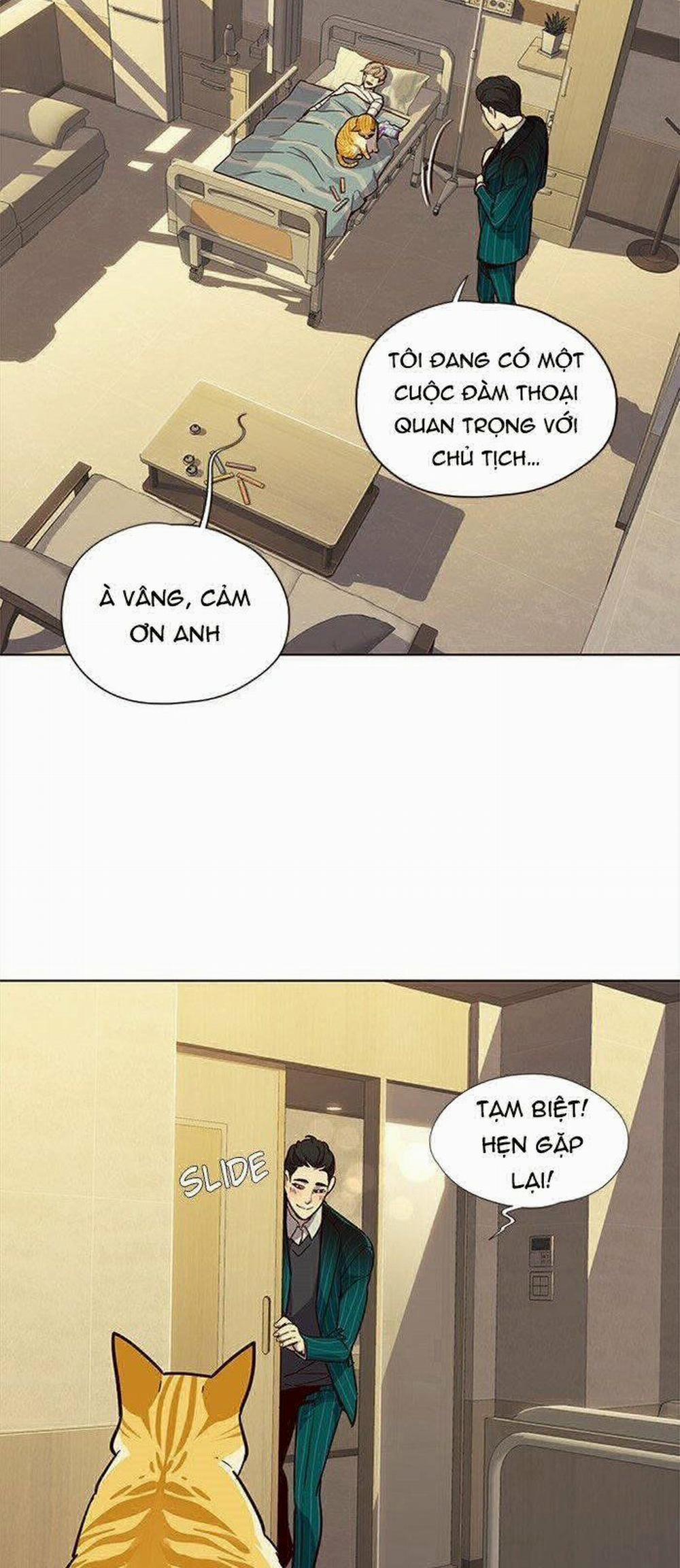 Hóa Thân Thành Mèo 29 trang 32